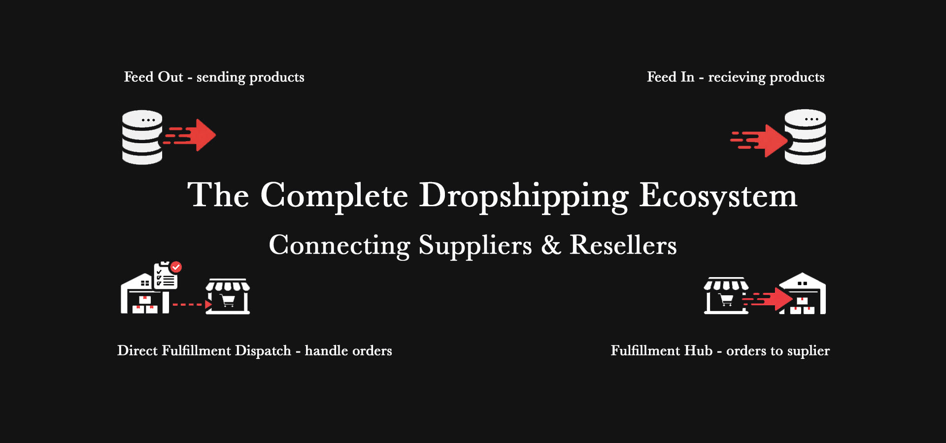 The Shopify dropshipping ecosystem
